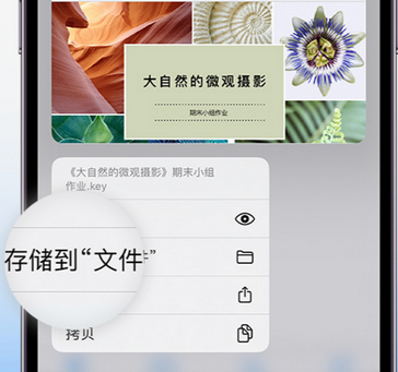 石楼apple维修中心分享iPhone文件应用中存储和找到下载文件