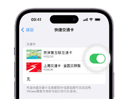 石楼apple维修点分享iPhone上更换Apple Pay快捷交通卡手绘卡面 