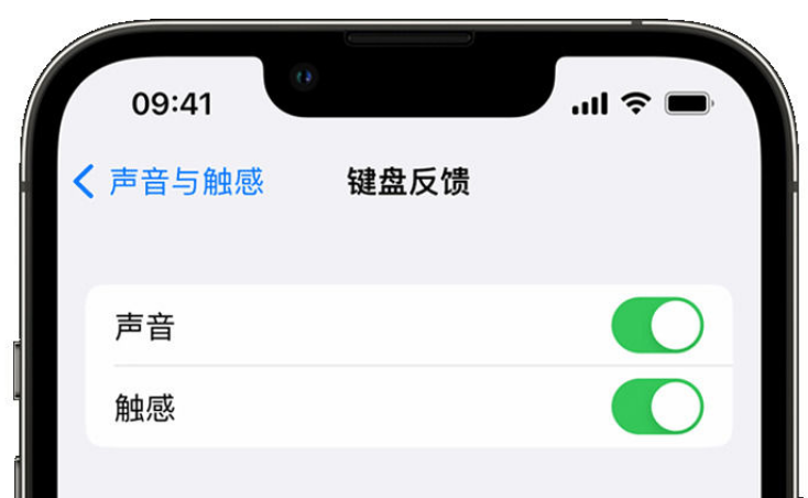 石楼苹果手机维修分享iPhone 14触感键盘使用方法 