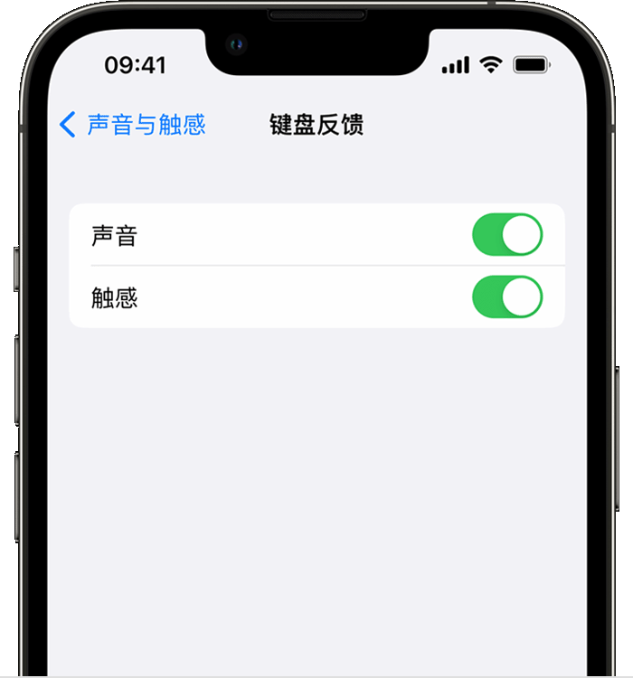 石楼苹果14维修店分享如何在 iPhone 14 机型中使用触感键盘 