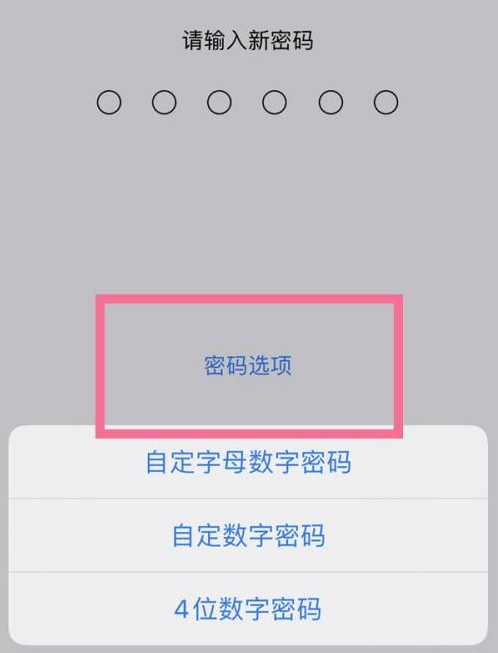 石楼苹果14维修分享iPhone 14plus设置密码的方法 