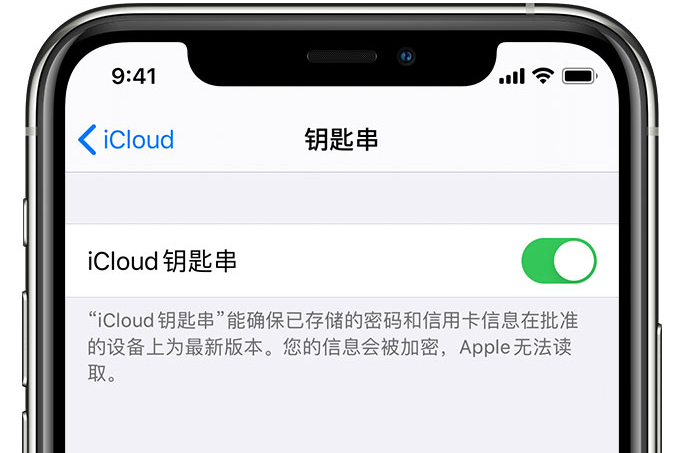 石楼苹果手机维修分享在 iPhone 上开启 iCloud 钥匙串之后会储存哪些信息 