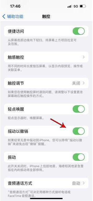 石楼苹果手机维修分享iPhone手机如何设置摇一摇删除文字 