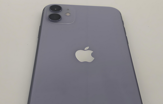 石楼苹果11系统维修分享iPhone11手机系统崩溃无法开机如何解决